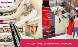 Dịch vụ thi công thang máy Trung tâm thương mại - Báo giá trọn gói, bàn giao đúng hạn