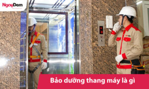 Bảo dưỡng thang máy là gì? Quy trình gồm những hạng mục nào?