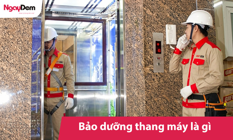 Bảo dưỡng thang máy là gì? Quy trình gồm những hạng mục nào?