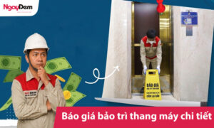 Báo giá bảo trì thang máy