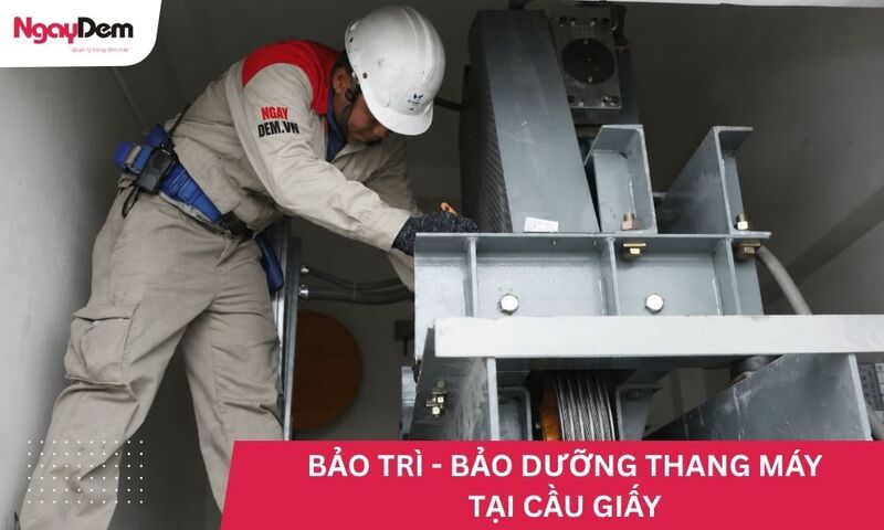 Dịch vụ bảo trì thang máy Cầu Giấy: 5 lưu ý quan trọng phải biết