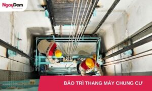 Quy định bảo trì thang máy chung cư: Tần suất bao lâu một lần?