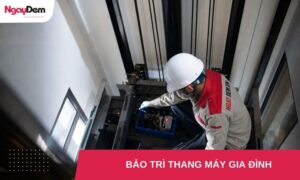 Bảo dưỡng - Bảo trì thang máy gia đình: Đơn vị nào uy tín?