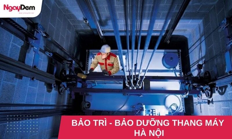 Bảo dưỡng, bảo trì thang máy Hà Nội uy tín, chuyên nghiệp, giá tốt