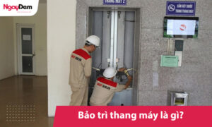 Bảo trì thang máy là gì? Quy trình bảo trì thang máy chuẩn an toàn