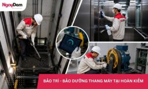 Dịch vụ bảo trì thang máy tại Ba Đình nhanh chóng - Gọi là có!