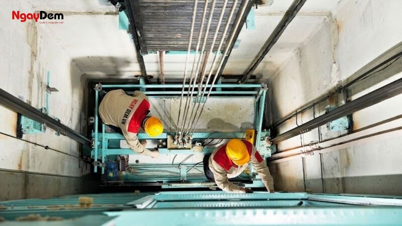 Có giấy phép hoạt động và đội ngũ kỹ thuật chuyên môn cao