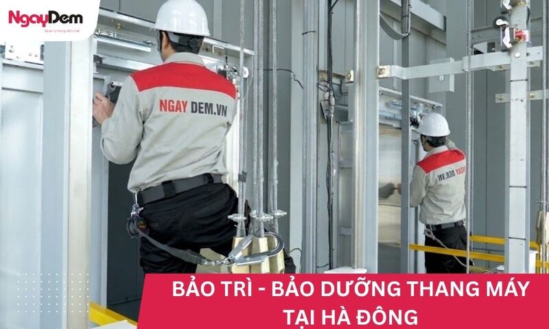 Bảo trì thang máy tại Hà Đông: Lựa chọn công ty nào uy tín?