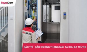 Bảo dưỡng - bảo trì thang máy tại Hai Bà Trưng chi phí tối ưu