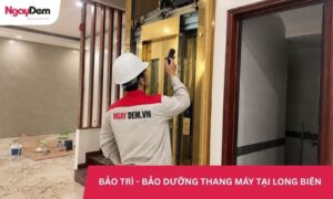 Dịch vụ bảo trì thang máy tại Long Biên định kỳ, trọn gói từ A-Z