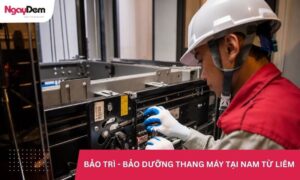 Bảo trì thang máy tại Nam Từ Liêm uy tín, thợ giỏi, chuyên nghiệp