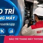 Dịch vụ bảo dưỡng - bảo trì thang máy Thyssenkrupp: Hỗ trợ 24/7