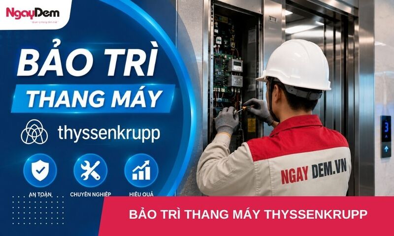 Toàn bộ thông tin về bảo trì thang máy Thyssenkrupp từ A-Z