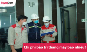 Chi phí bảo trì thang máy bao nhiêu?