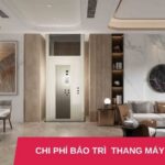 Chi phí bảo trì thang máy gia đình một năm hết bao nhiêu tiền?