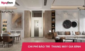 Chi phí bảo trì thang máy gia đình một năm hết bao nhiêu tiền?