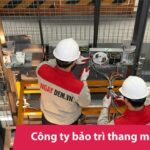 Công ty bảo trì thang máy uy tín, chuyên nghiệp