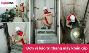 Đơn vị bảo trì thang máy khẩn cấp 24/7