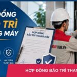 Mẫu hợp đồng bảo trì thang máy và các thông tin cần thiết