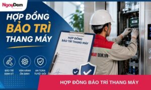 Mẫu hợp đồng bảo trì thang máy và các thông tin cần thiết