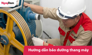 Hướng dẫn bảo dưỡng thang máy định kỳ