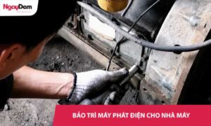 Bảo trì bảo dưỡng máy phát điện cho Nhà máy và Khu công nghiệp