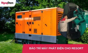 Bảo trì - Bảo dưỡng máy phát điện cho Resort, khu nghỉ dưỡng cao cấp