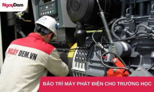 Bảo trì bảo dưỡng máy phát điện cho Trường học, Trung tâm giáo dục