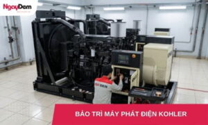 Bảo trì bảo dưỡng máy phát điện Kohler | Giá tốt - có mặt ngay
