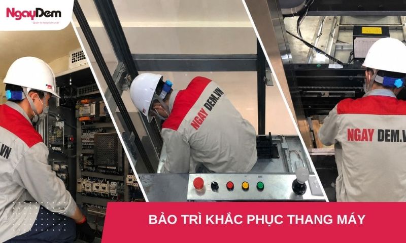 Bảo trì khắc phục thang máy là gì? Những lưu ý quan trọng cần biết