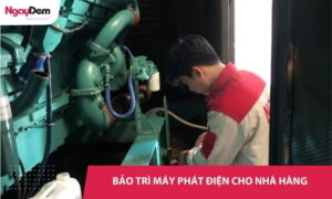 Bảo trì - Bảo dưỡng máy phát điện Nhà hàng, Quán ăn trọn gói