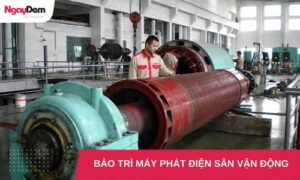 Bảo trì máy phát điện cho Nhà thi đấu|Trung tâm thể thao|Sân vận động