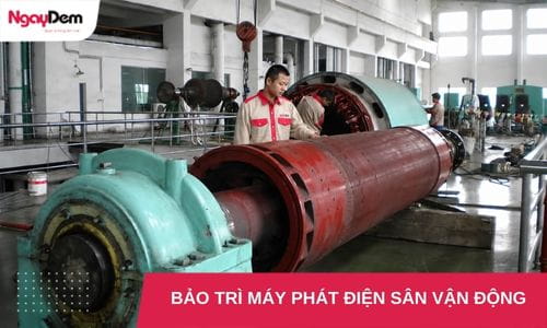 Bảo trì máy phát điện cho Nhà thi đấu|Trung tâm thể thao|Sân vận động