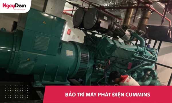Bảo trì máy phát điện Cummins chuyên sâu, chuẩn kỹ thuật