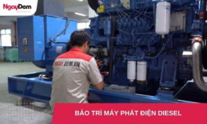 Bảo trì bảo dưỡng máy phát điện Diesel uy tín | Giá số 1