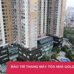 Dự án bảo trì thang máy tòa nhà Golden Palace Mễ Trì