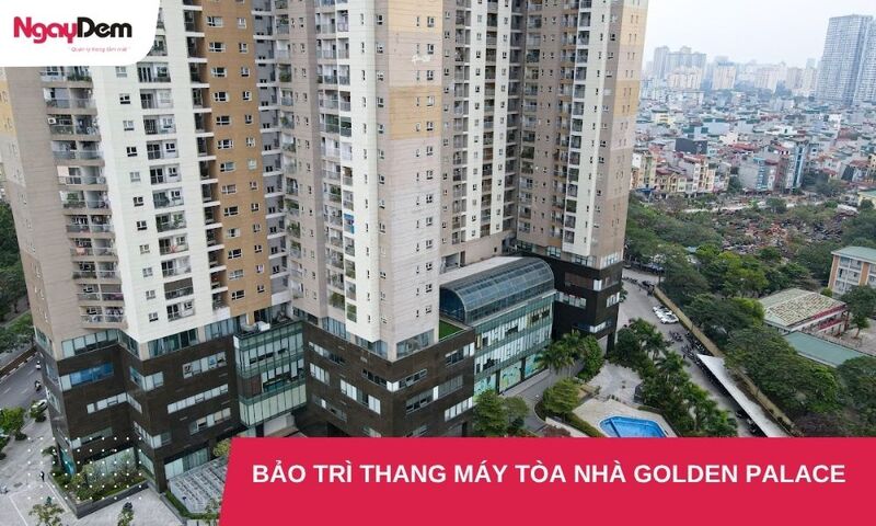 Dự án bảo trì thang máy tòa nhà Golden Palace Mễ Trì