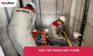 Bảo trì thang máy KONE: Giải pháp tiết kiệm chi phí tối ưu