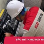 Bảo trì thang máy Nippon: Vận hành bền bỉ - Tiết kiệm chi phí