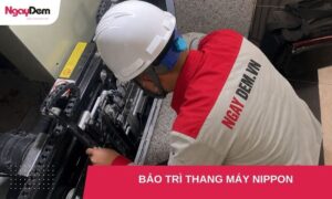 Bảo trì thang máy Nippon: Vận hành bền bỉ - Tiết kiệm chi phí
