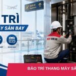 Bảo trì thang máy sân bay - Chuyên nghiệp, uy tín - Hỗ trợ 24/7