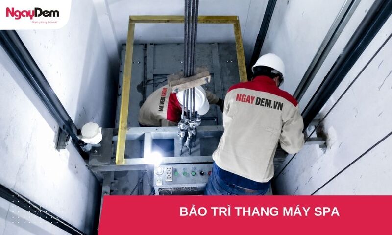 Bảo trì thang máy spa: Đảm bảo an toàn và trải nghiệm khách hàng