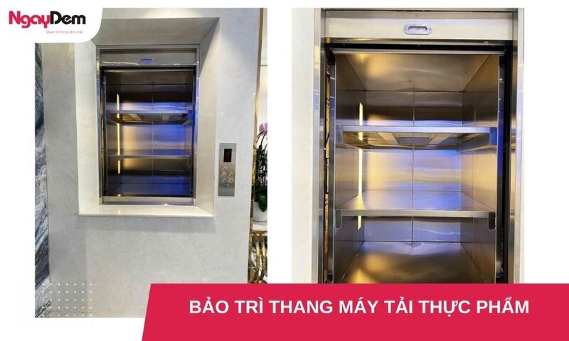 Kinh nghiệm chọn đơn vị bảo trì thang máy tải thực phẩm uy tín