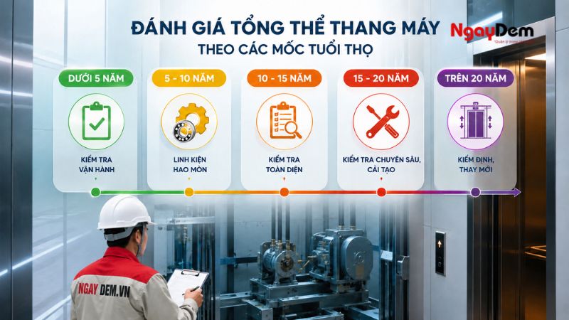 Bao lâu nên đánh giá tổng thể tuổi thọ của thang máy một lần?