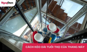 Bật mí 7 cách kéo dài tuổi thọ thang máy không nên bỏ qua