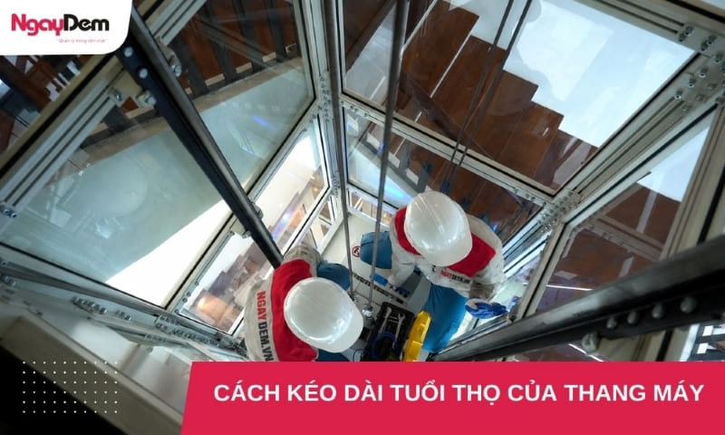 Bật mí 7 cách kéo dài tuổi thọ thang máy không nên bỏ qua
