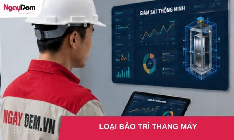 Tìm hiểu chi tiết về các loại bảo trì thang máy hiện nay