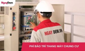 Bảo trì thang máy spa: Đảm bảo an toàn và trải nghiệm khách hàng