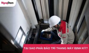 Giải đáp thắc mắc: Tại sao phải bảo trì thang máy định kỳ?