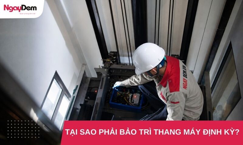 Giải đáp thắc mắc: Tại sao phải bảo trì thang máy định kỳ?
